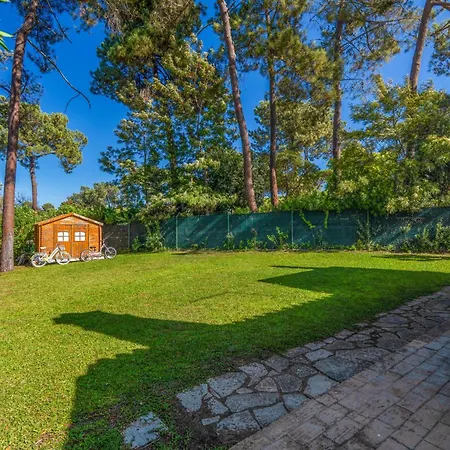 Villa Your In Vilamoura *